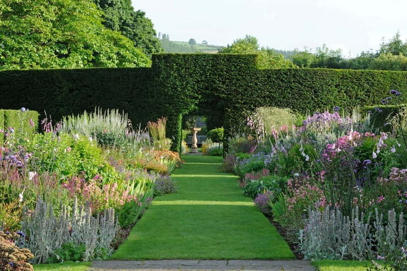 Ballymena: Walled Garden and Woodland Walk Entry Ticket - An In-Depth Look at the Experience