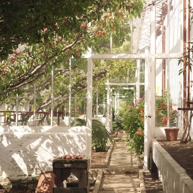 Ballymena: Walled Garden and Woodland Walk Entry Ticket - Who Will Love This Experience?