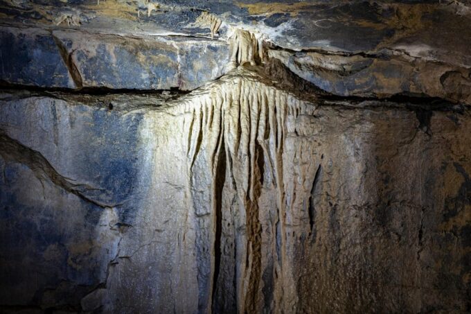 Ballyvaughan: Aillwee Burren Experience Entry Ticket - Customer Reviews and Ratings