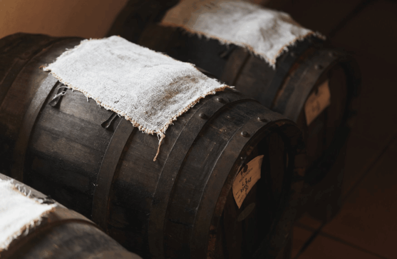 Balsamic Vinegar Tasting & Barrel Tour Near Parma & Reggio - Itinerary and Tour Details