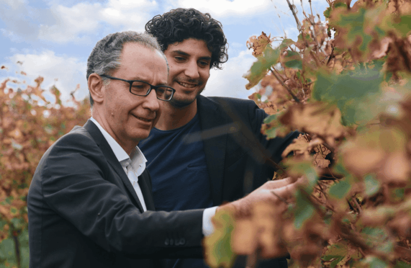 Balsamic Vinegar Tasting & Barrel Tour Near Parma & Reggio - Highlights of the Experience
