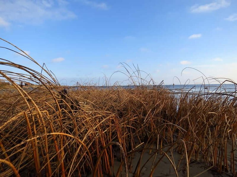 Baltic Sea Coastal Scenery and Cape Kolka From Riga - Who Should Consider This Tour?
