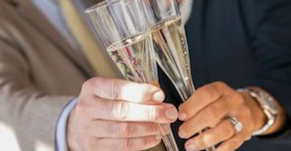Baltimore: Christmas Day Gourmet Brunch or Dinner Cruise - Meal Options: Brunch or Dinner
