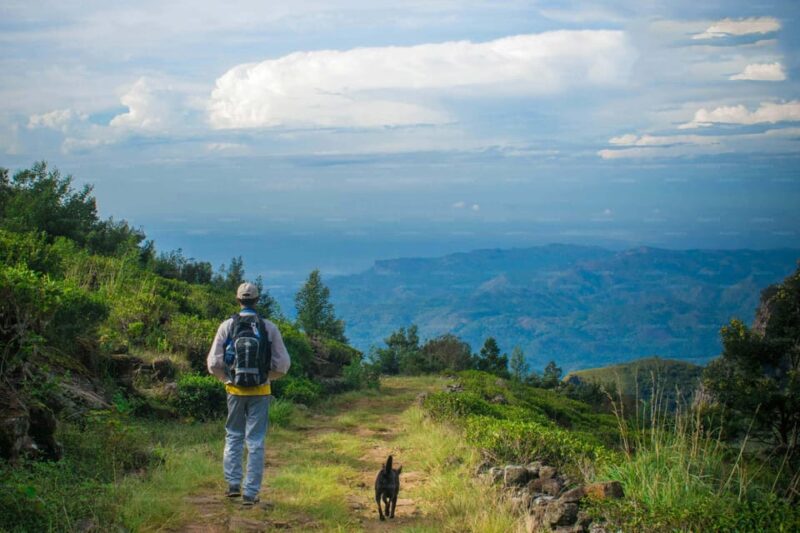 Bambarakanda to Devils Staircase Jeep Safari - Booking Information