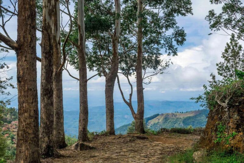 Bambarakanda to Devils Staircase Jeep Safari - Restrictions and Guidelines
