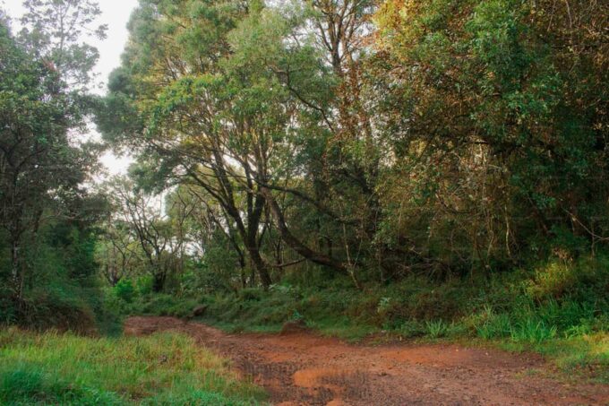 Bambarakanda to Devils Staircase Jeep Safari - Frequently Asked Questions