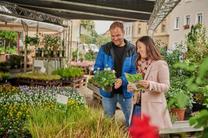 Bamberg: Guided Tour of the Gardeners District - Meeting Point and Duration