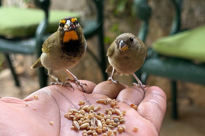 Bamboo rafting and bird sanctuary tour from Montegobay - Key Points