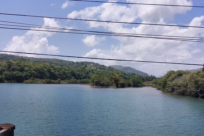 Bamboo Rafting, Frenchman Cove, Boston Jerk Centre in Portland - Exploring the Highlights of the Tour