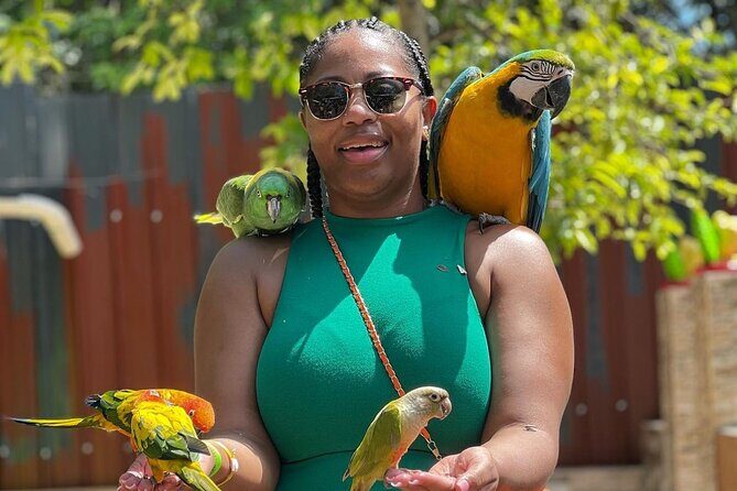 Bamboo Rafting Limestone Massage, Exotic bird and Herb Farm Tour - Key Points