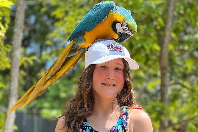 Bamboo Rafting Limestone Massage, Exotic bird and Herb Farm Tour - Who Is This Tour Best For?