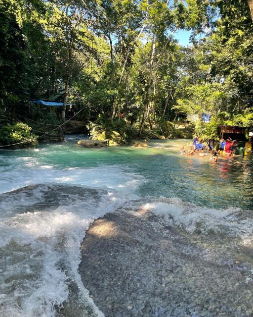 Bamboo Rafting With Limestone Massage From Montego Bay - Sampling Fresh Coconut and Sugar Cane