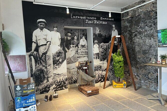 Banana Museum, Rum Distillery & Winery with Tasting: Premium tour - Analyzing the Value