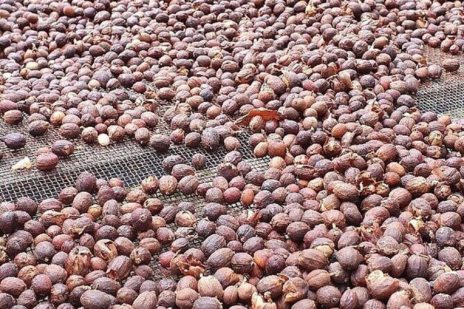 Banana Museum, Rum Distillery & Winery with Tasting: Premium tour - Final Thoughts