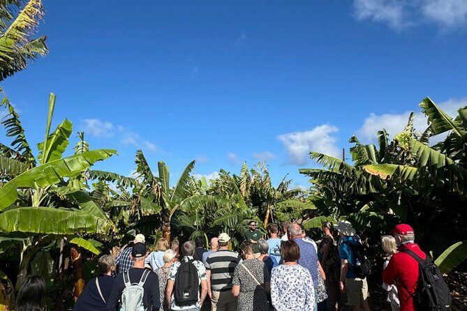 Banana Museum, Rum Distillery & Winery with Tasting: Premium tour - FAQ