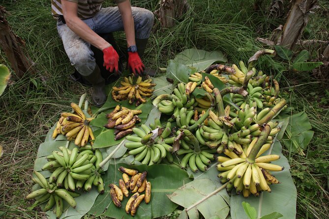 Banana Trip - Full Day Private Tour to Pico With Round Trip From Faial - Local Cuisine and Culture