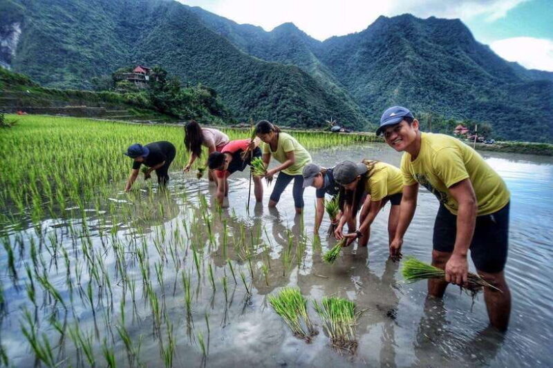 BANAUE:BATAD Rice Terraces with Sagada 4D3N PRIVATE TOUR - Final Thoughts