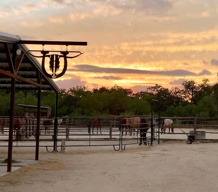 Bandera: Ranch Visit with Longhorns and Horses - Key Points