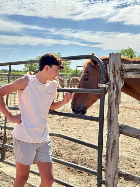 Bandera: Ranch Visit with Longhorns and Horses - FAQ