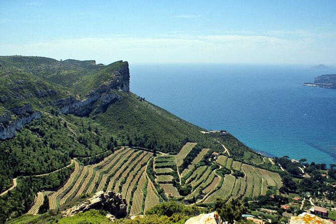 Bandol Wine Tour - 4 Hour Private Tour - Experience Expectations
