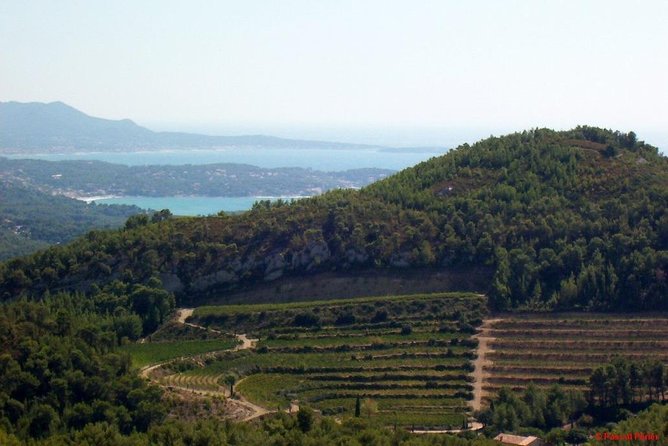 Bandol Wine Tour - 4 Hour Private Tour - The Sum Up