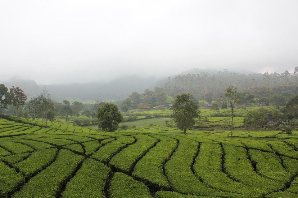 Bandung: Private Car Charter With Driver - Inclusions in the Tour Package
