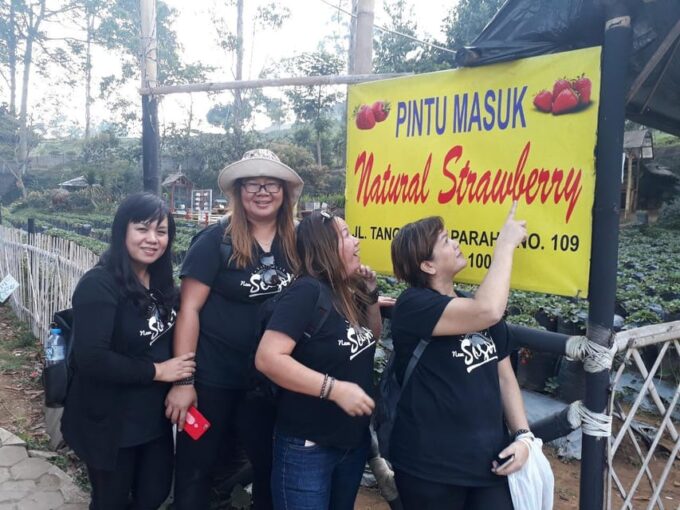 Bandung: Private Car/Van With English Driver - Driver and Language Support