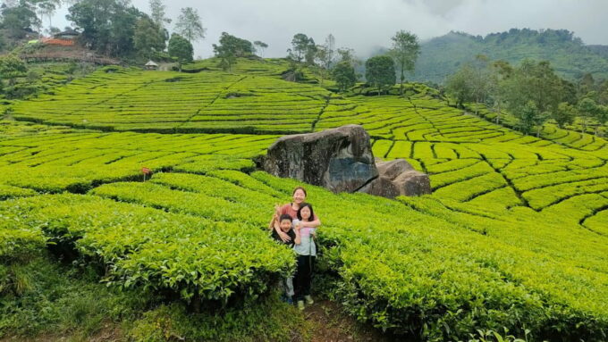 Bandung: Private Car/Van With English Driver - Important Considerations
