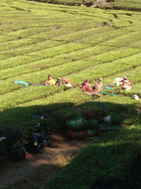 Bandung Private Tour Guide Sightseeing (Custom Tour) - Frequently Asked Questions