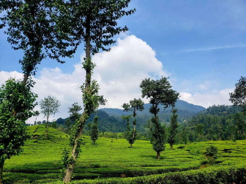 Bandung: Southern Bandung Day Tours - Authentic Experiences and Guided Insights