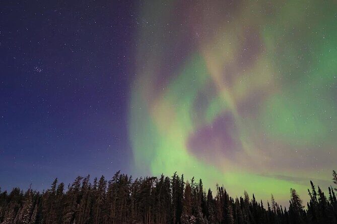 Banff and Yoho Rocky Mountain Discovery Day Tour - Who Will Love This Tour?