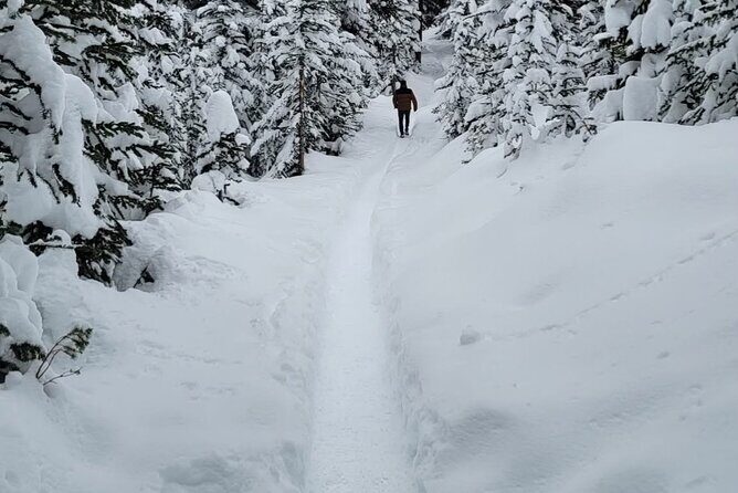 Banff and Yoho Rocky Mountain Discovery Day Tour from Calgary - What the Reviews Say