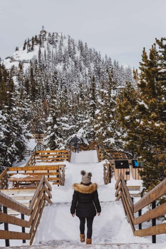 Banff: Banff Town, Gondola, and Canyon Day Tour - Key Points