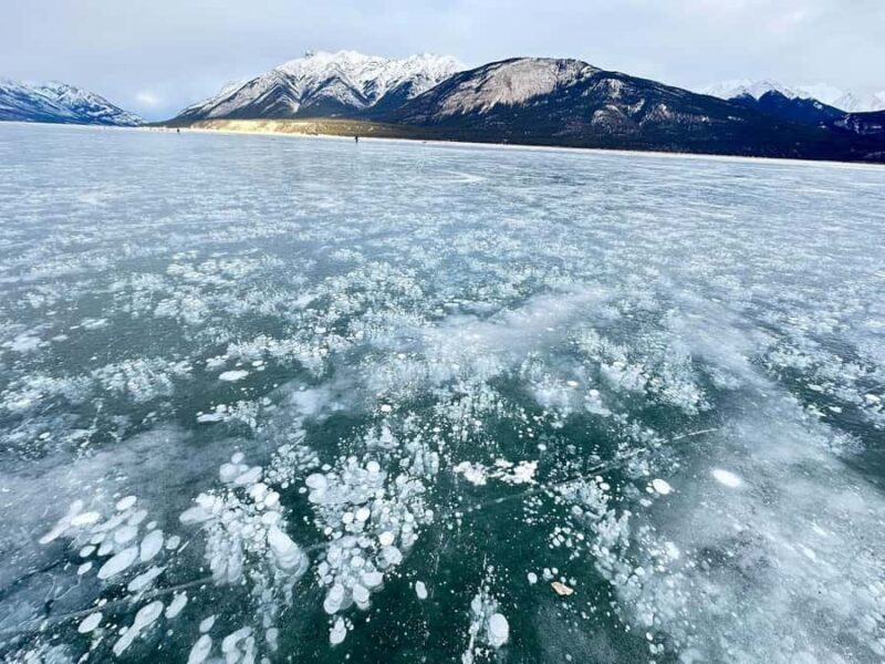 Banff: Banff & Yoho National Park Lakes and Gondola Tour - An In-Depth Look at the Tour Experience