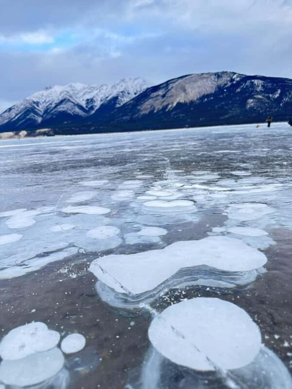 Banff: Banff & Yoho National Park Lakes and Gondola Tour - Final Thoughts