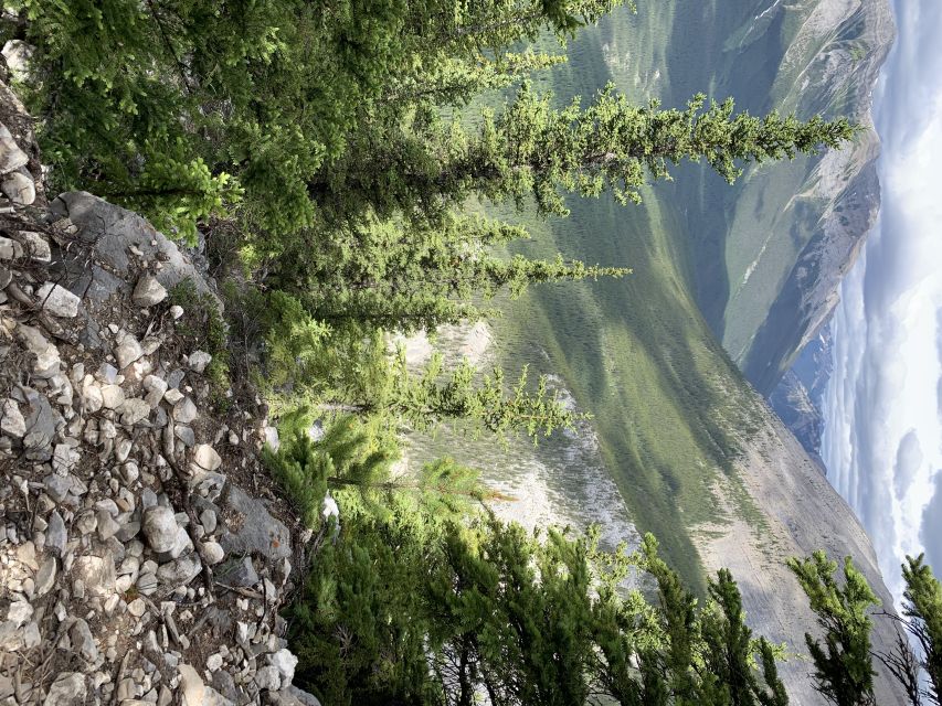 Banff: Bear Country Hiking Tour - Full Day Hike /5hrs - Difficulty and Fitness Level