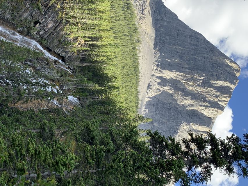 Banff: Bear Country Hiking Tour - Full Day Hike /5hrs - Safety Precautions