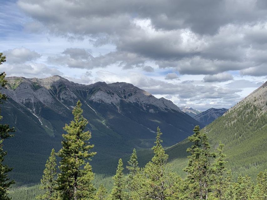 Banff: Bear Country Hiking Tour - Full Day Hike /5hrs - Frequently Asked Questions
