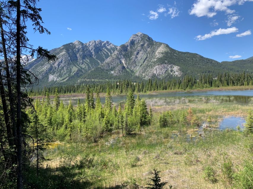 Banff: Best of Banff Nature Walk - 2hrs - Meeting the Professional Guide