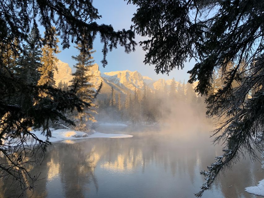 Banff: Best of Banff Nature Walk - 2hrs - Booking and Availability Information