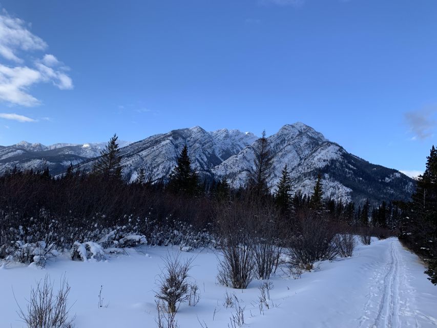 Banff: Best of Banff Nature Walk - 2hrs - Frequently Asked Questions