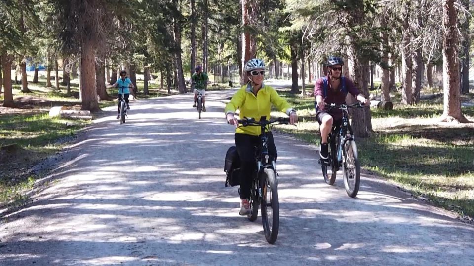 Banff: Bow River E-Bike Tour and Sundance Canyon Hike - Group Size and Experience