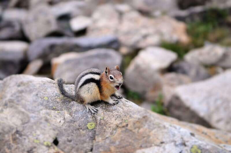 Banff/Canmore/Calgary: Moraine Lake and Lake Louise Guided - The Sum Up