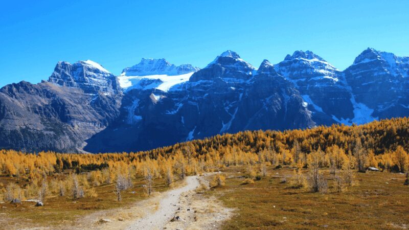 Banff/Canmore: Larch Valley & Moraine Lake - Why You Might Love This Tour