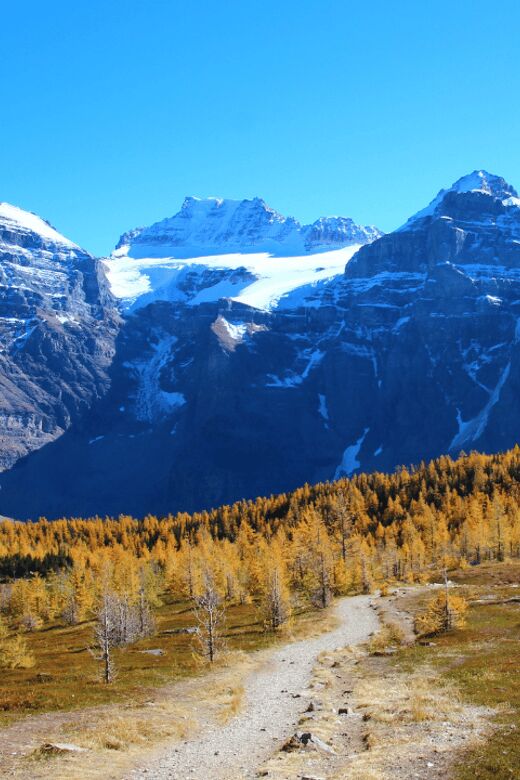 Banff/Canmore: Larch Valley & Moraine Lake - The Practicalities: Price, Duration, and Inclusions