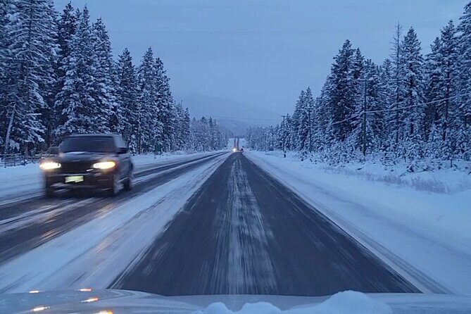 Banff Canmore to Calgary YYC Airport Transfer - An In-Depth Look at the Transfer Experience