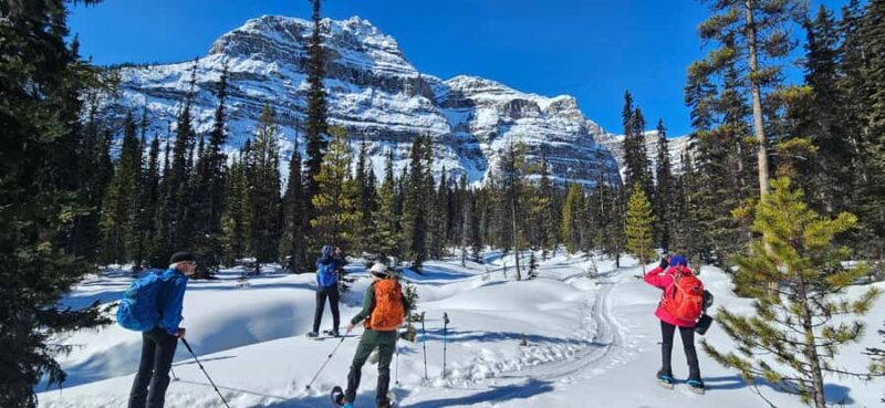 Banff: Chickadee Valley Snowshoe & Marble Canyon Walk - What to Expect and What to Bring
