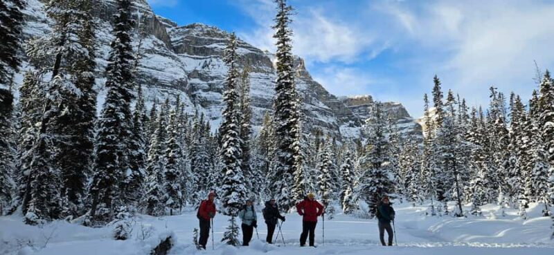 Banff: Chickadee Valley Snowshoe & Marble Canyon Walk - Who Would Enjoy This Tour?