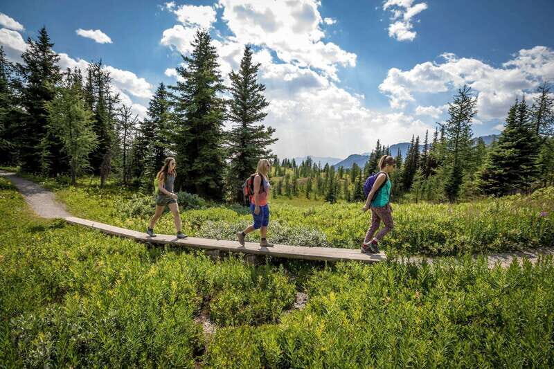 Banff: Edible and Medicinal Plants Nature Walk - Exploring Banff’s Edible and Medicinal Plants