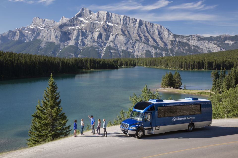 Banff: Evening Wildlife Safari Guided Tour - Frequently Asked Questions